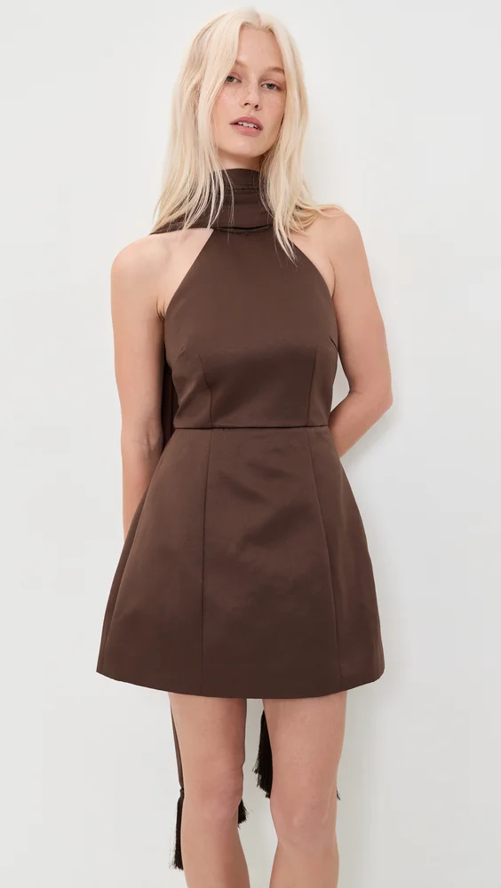 Hazel Chocolate Dress