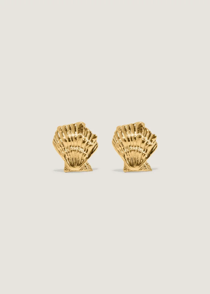 Shell Stud Earrings Gold
