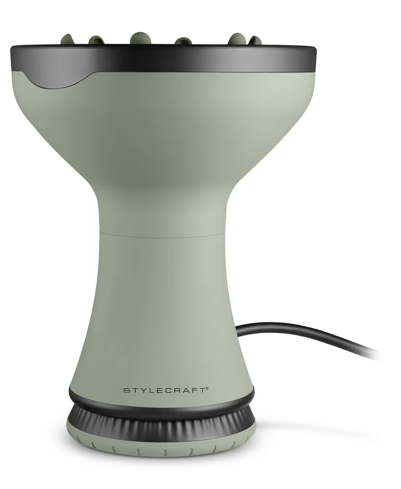 Professional Sage 2-In-1 Diffuser Hair Dryer