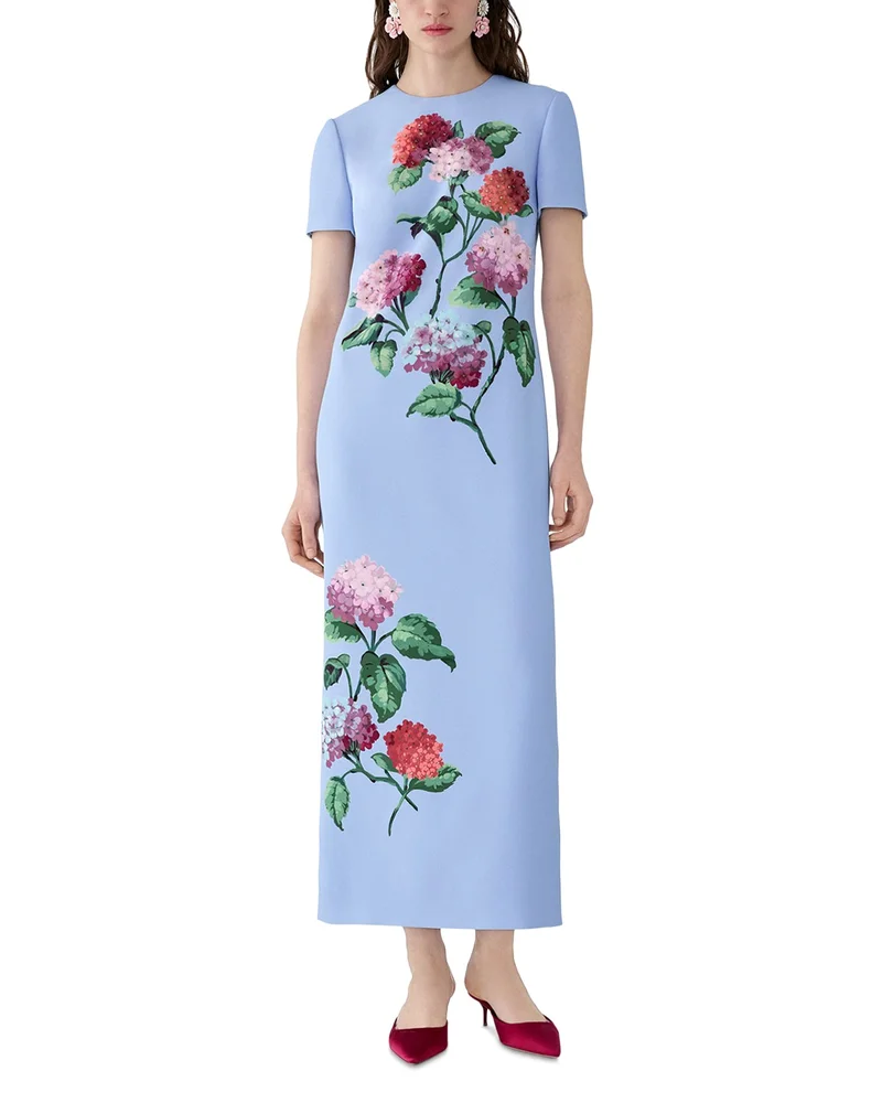 Printed Chiffon Dress