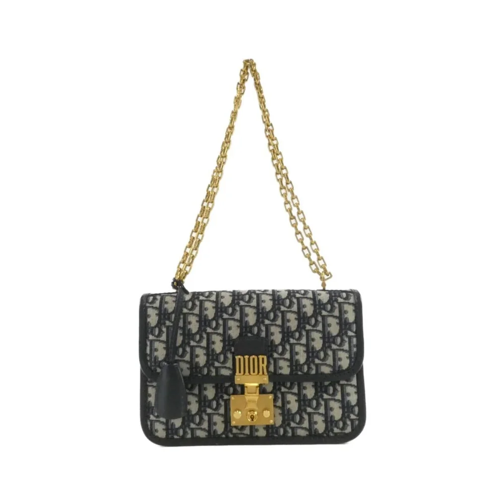 Pre-Owned Dioraddict Flap Bag Oblique Canvas Medium