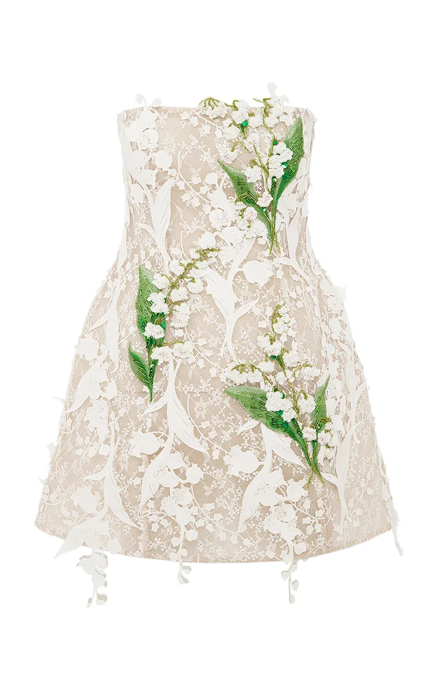 Roselle Embellished Lace Mini Dress