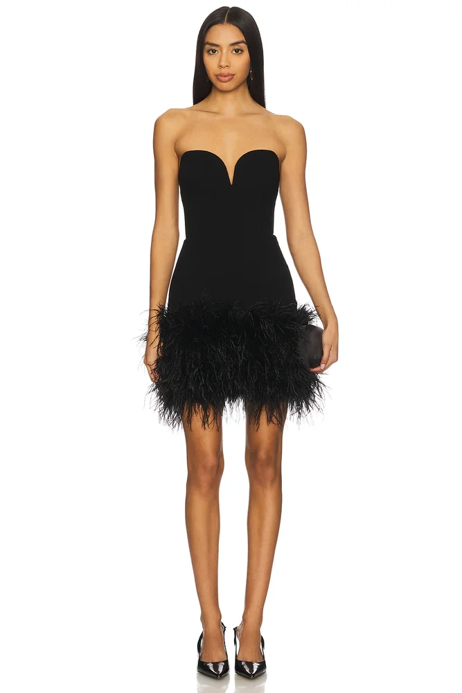 Posey Mini Feather Dress