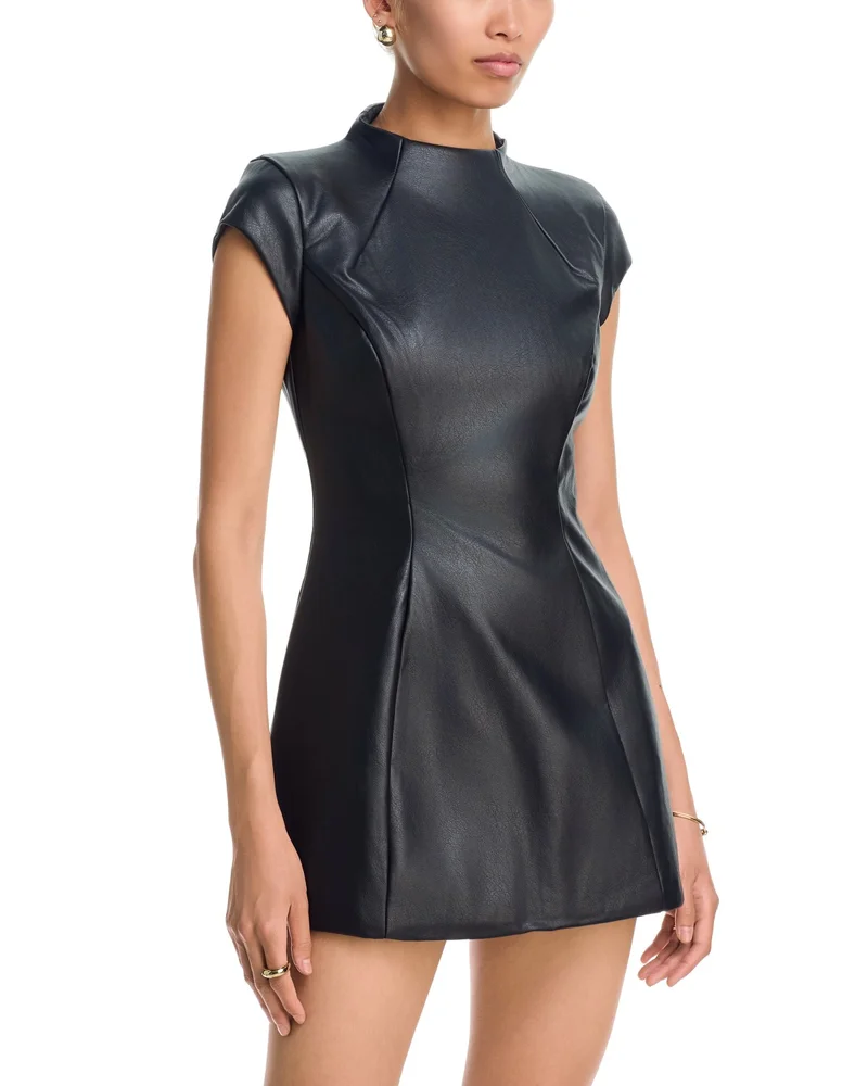 Delphi Faux Leather Mini Dress