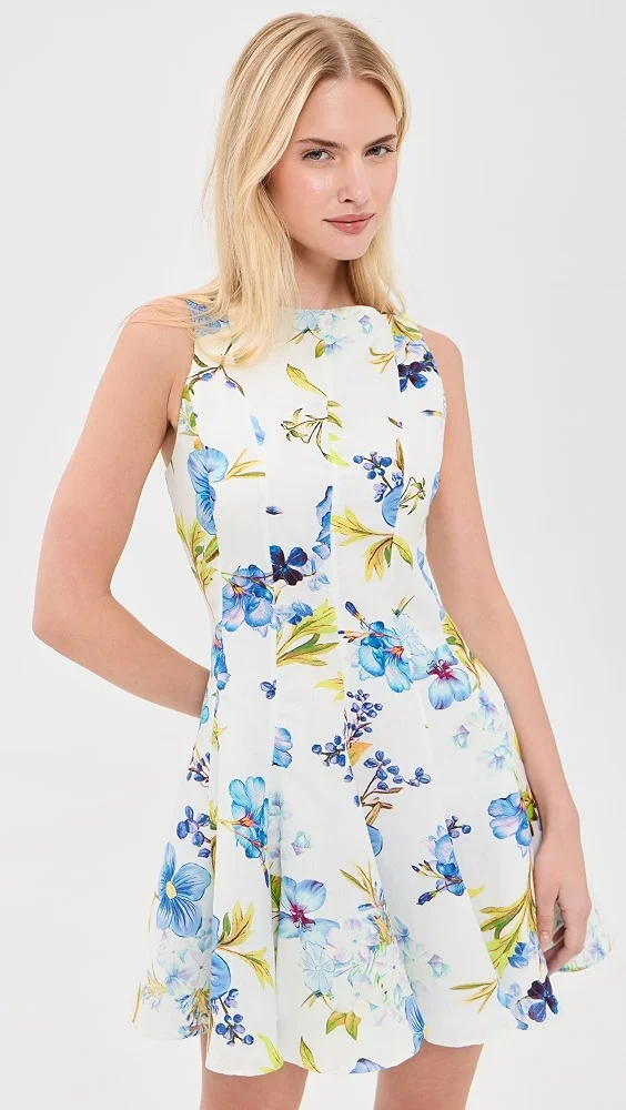 Ayka Skater Mini Dress