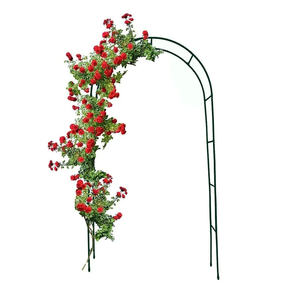 Cupar Steel Arched Trellis