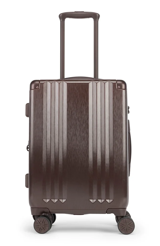 Ambeur 22-Inch Rolling Spinner Carry-On