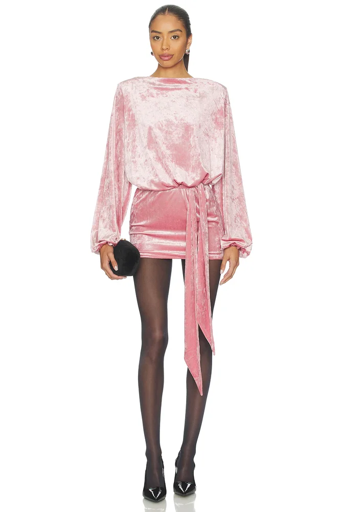 Elysia Velvet Dress