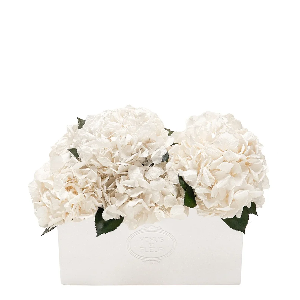 Serene Porcelain Vase