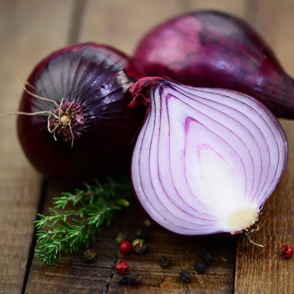 Onion Seeds