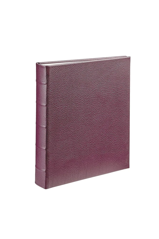 Large 3-Ring Clear Pocket Album