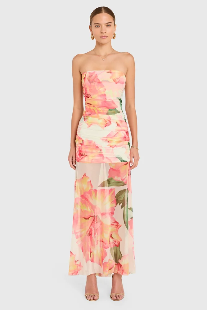 Leo Dress in Hibiscus