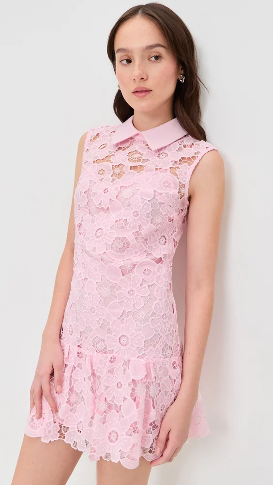 Lace Collared Mini Dress