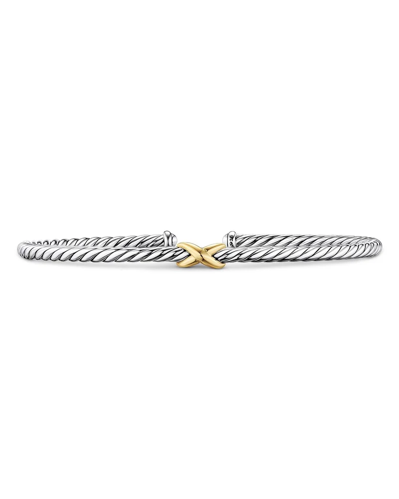 Micro Cable Flex Petite X Bracelet with 14K Gold