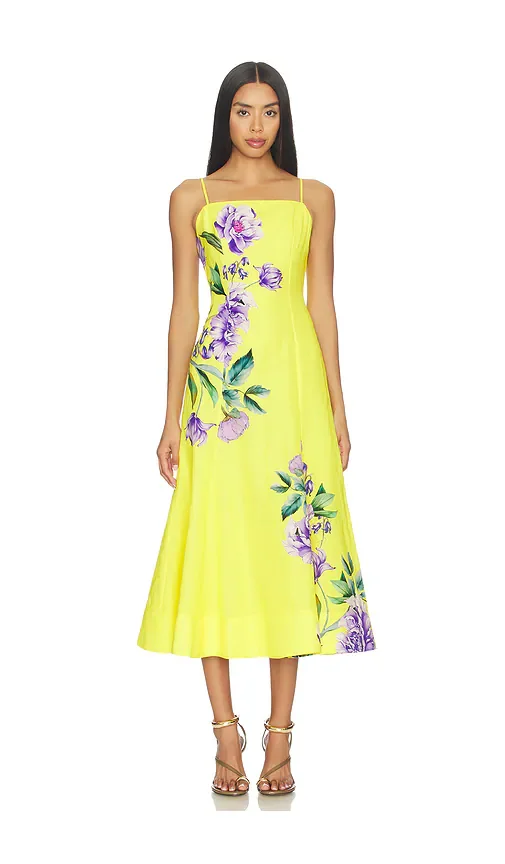 Paneled Midi Dress