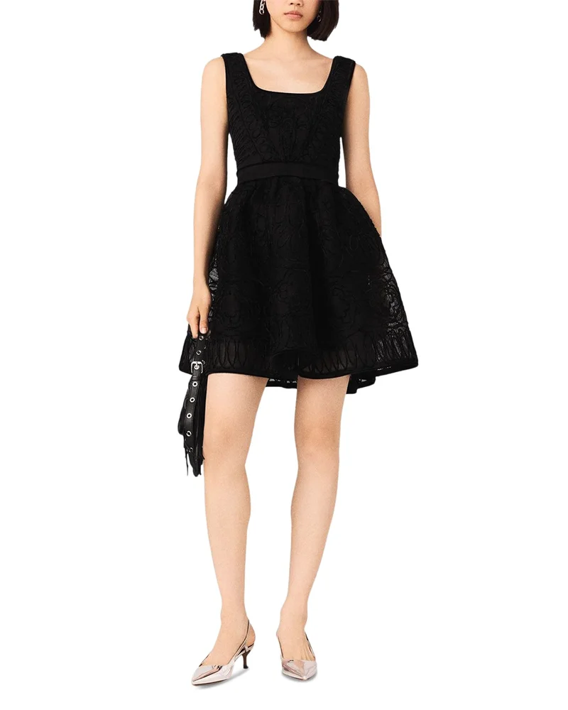 Embroidered Lace Skater Dress