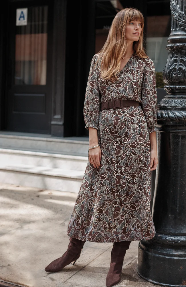 Printed Seamed A-Line Dress