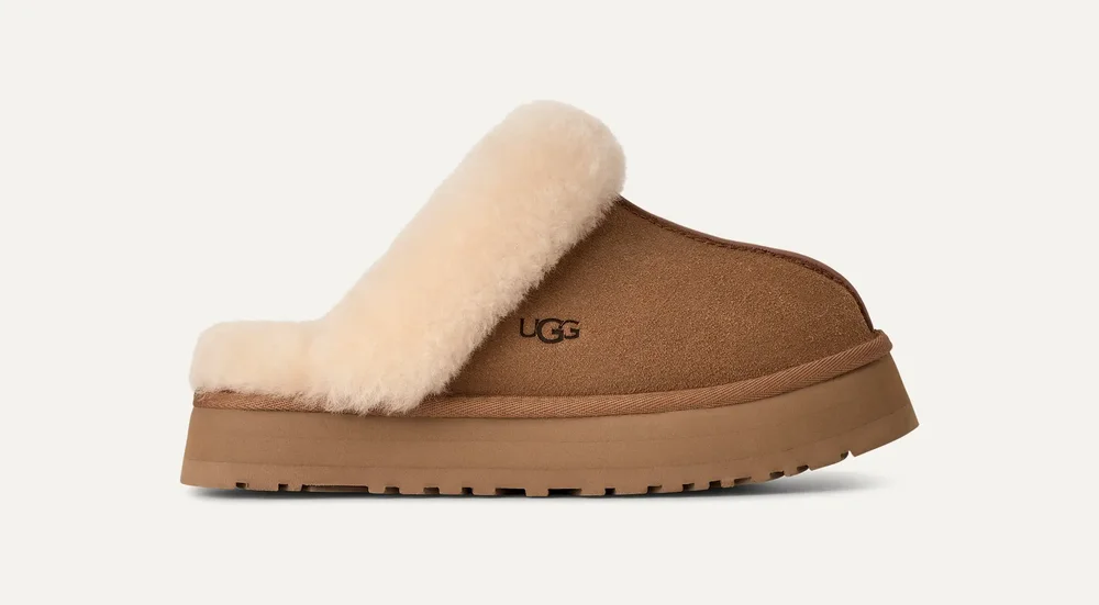 Disquette Slipper