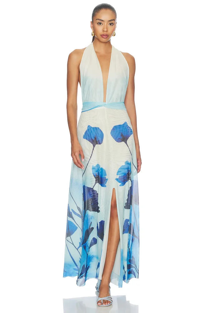 Micelia Long Dress