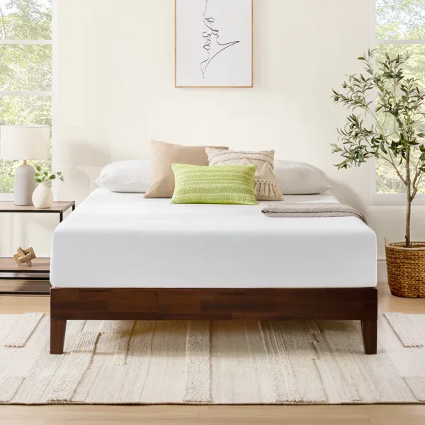 10" Plush Memory Foam Mattress