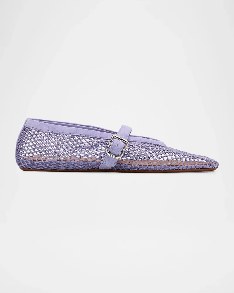 Mesh Mary Jane Suede Ballerina Flats