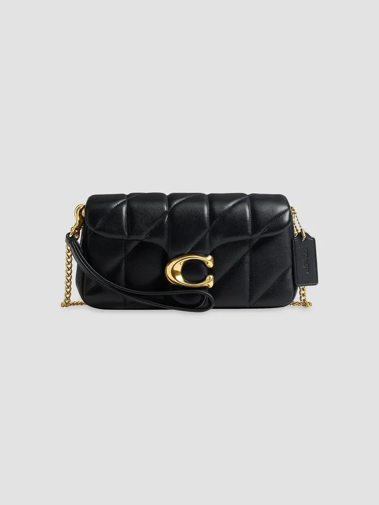 Tabby Quilted Leather Chain Crossbody Bag 19