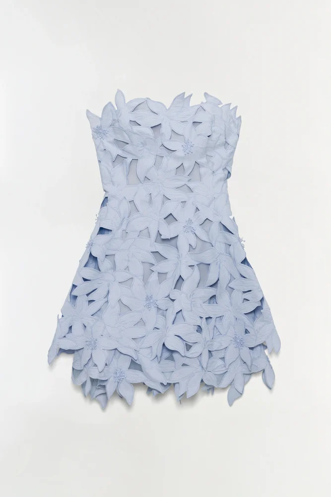 Miri Embroidered Cotton Bustier Mini Dress