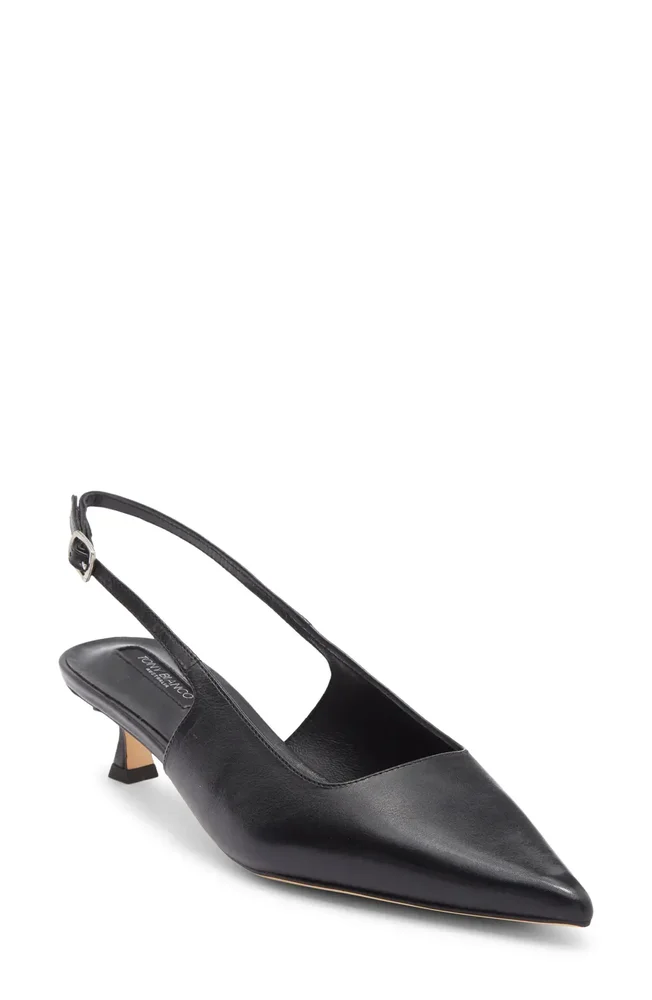 Crush Slingback Pointed Toe Kitten Heel Pump