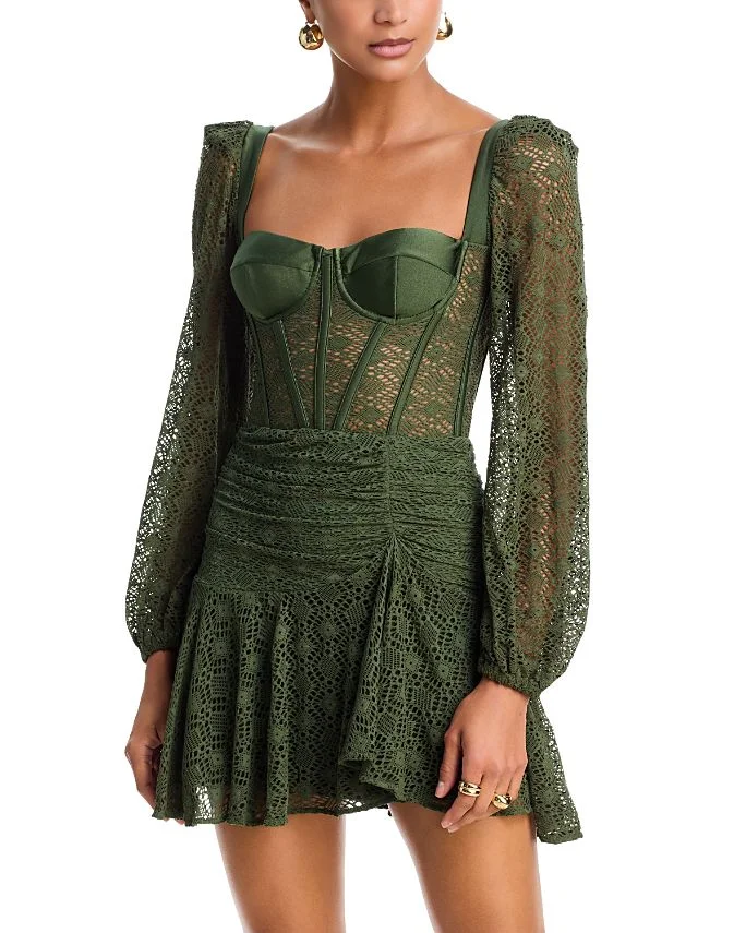Sirena Mesh Long Sleeve Mini Dress