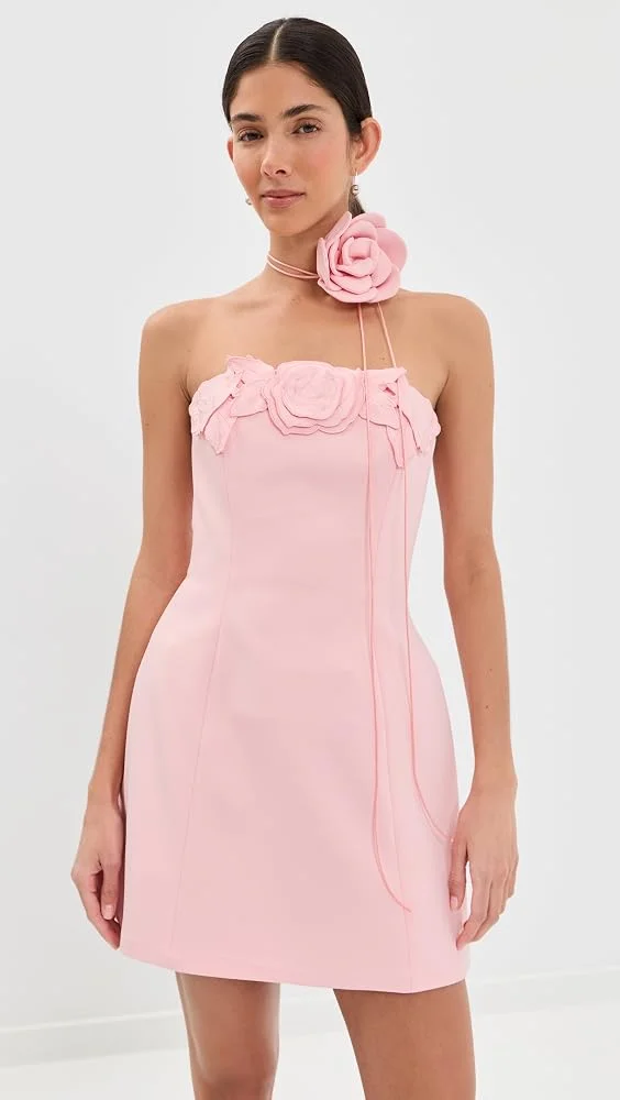 Roselle Applique Bustier Mini Dress