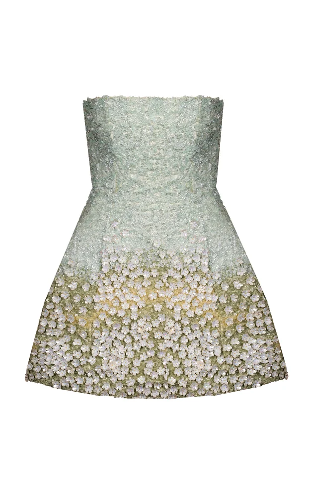 Mystical Garden Embroided Mini Dress