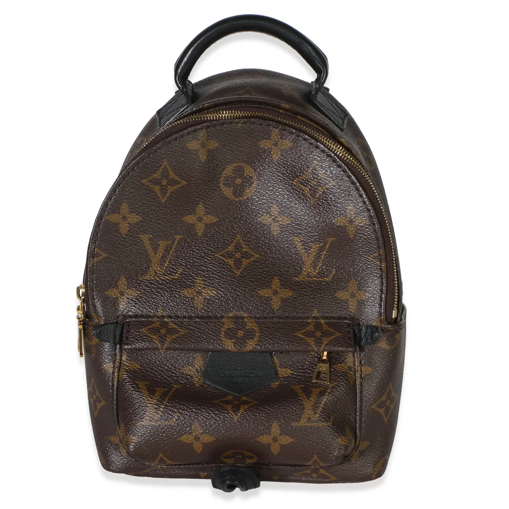 Monogram Canvas Mini Palm Springs
