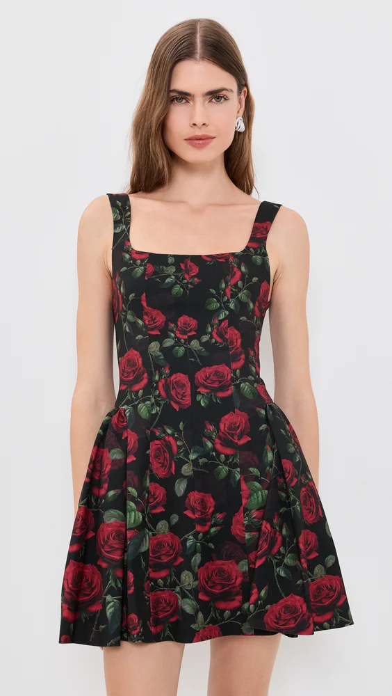 Vera Drop Waist Flare Mini Dress