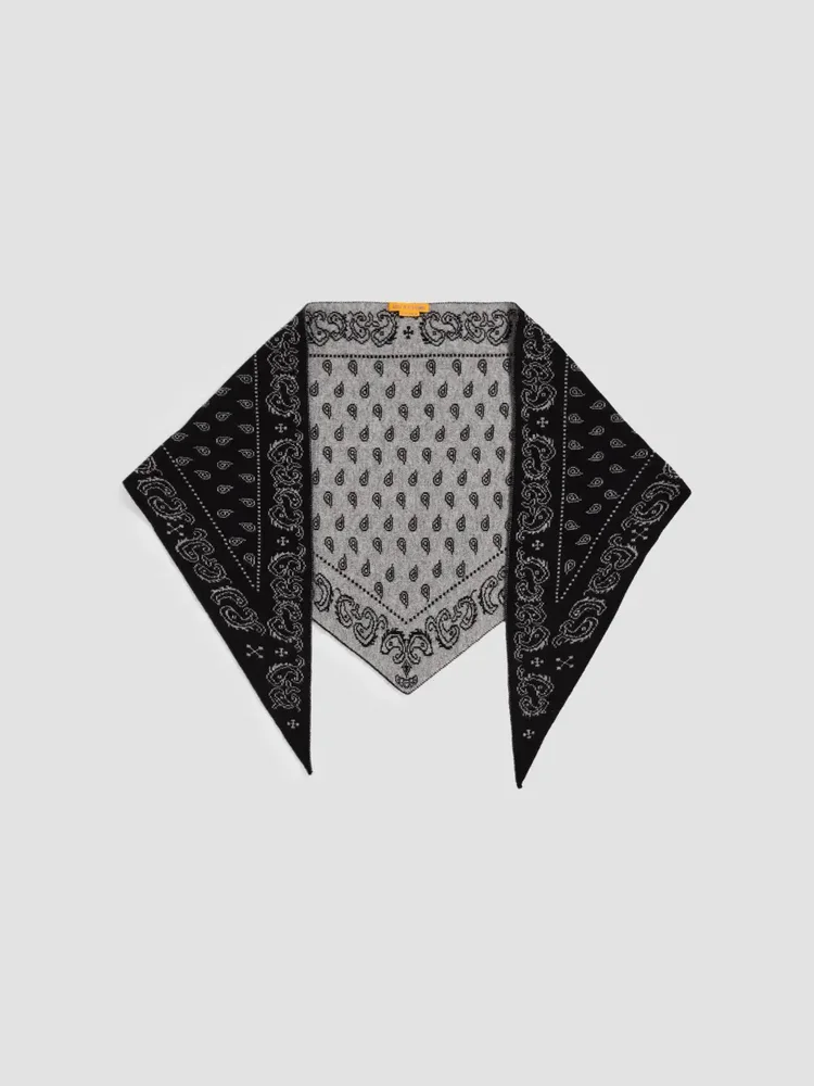 Cashmere Paisley Triangle Bandana