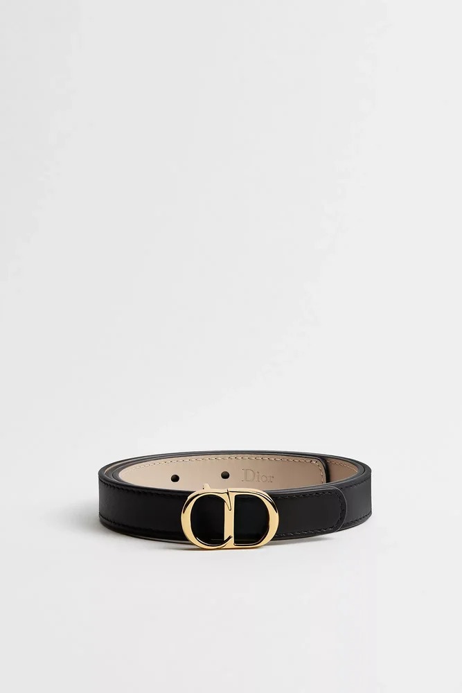 Reversible CD Icon Belt