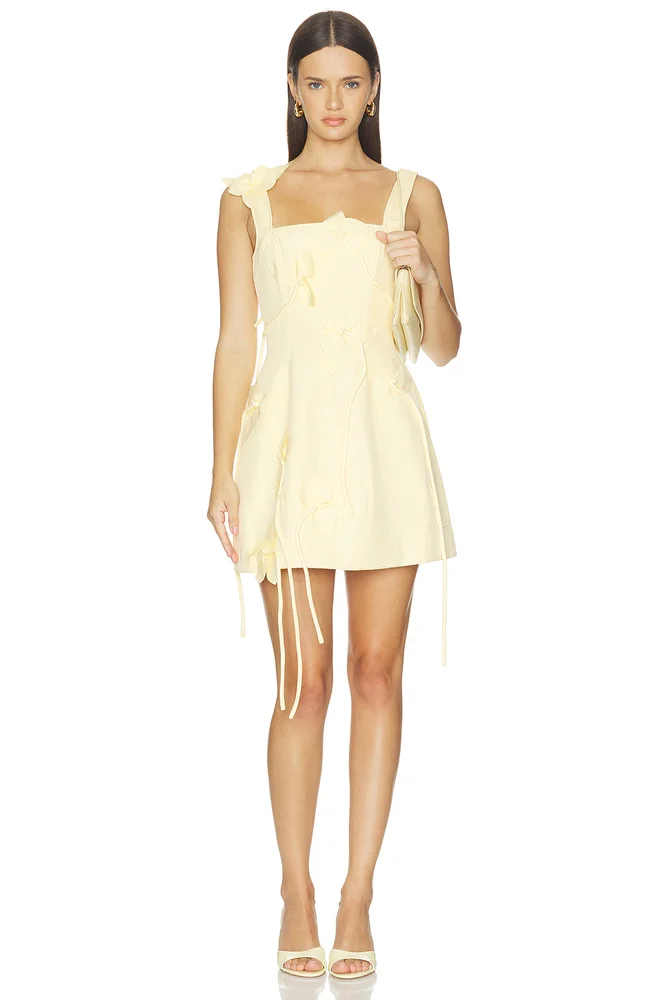 Reeve Mini Dress