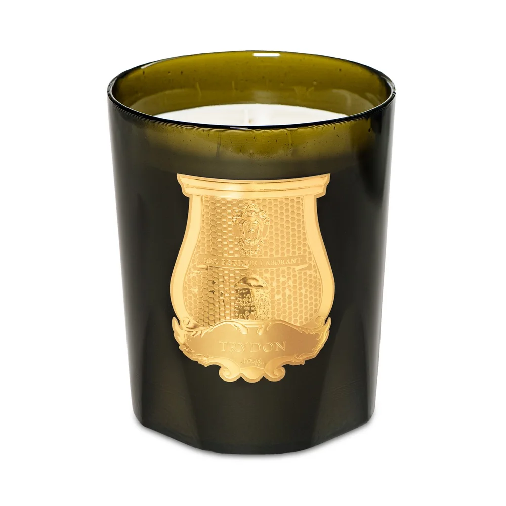Ernesto Classic Candle, Leather & Tobacco, 9.5 oz