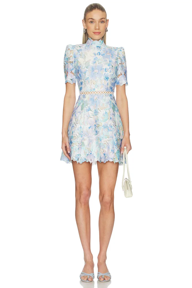 Kalissa A Line Mini Dress