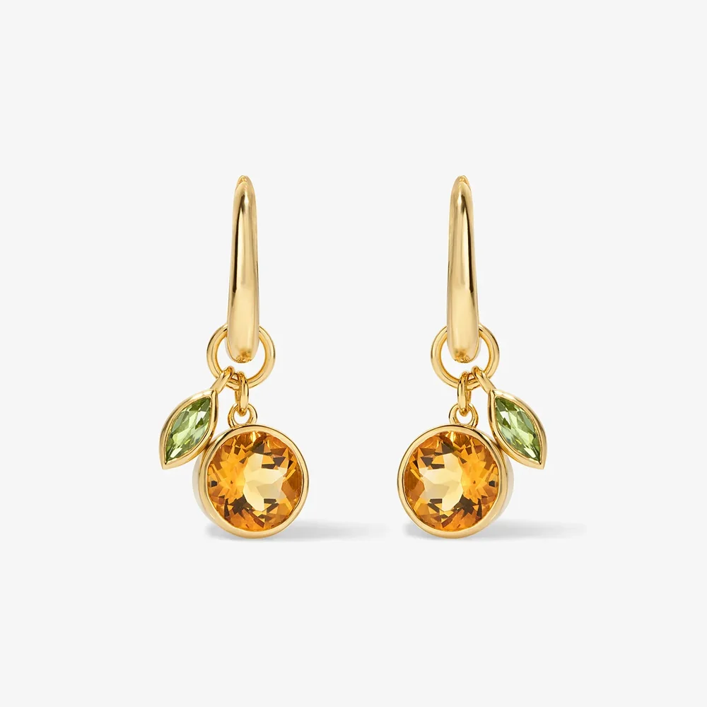Vault Sale: Cocktail Orange Hoop Earrings in Vermeil