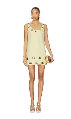 Aravine Dress
