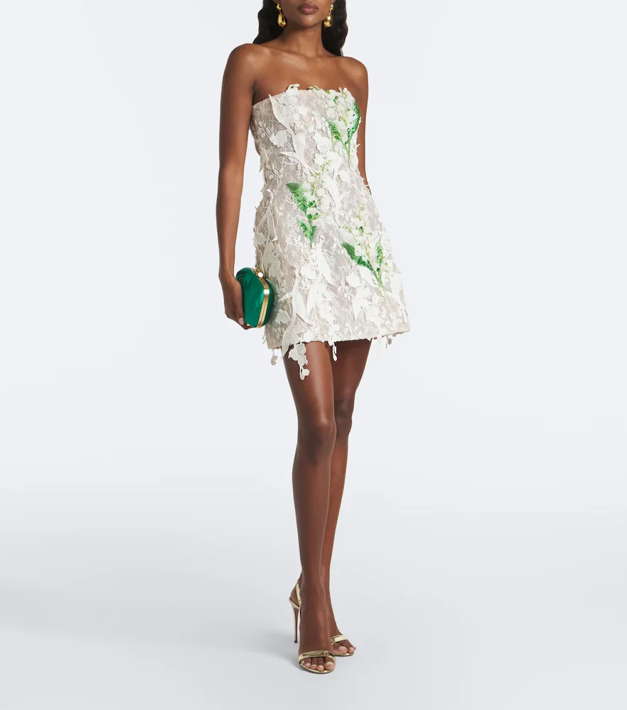 Roselle embellished lace bustier dress