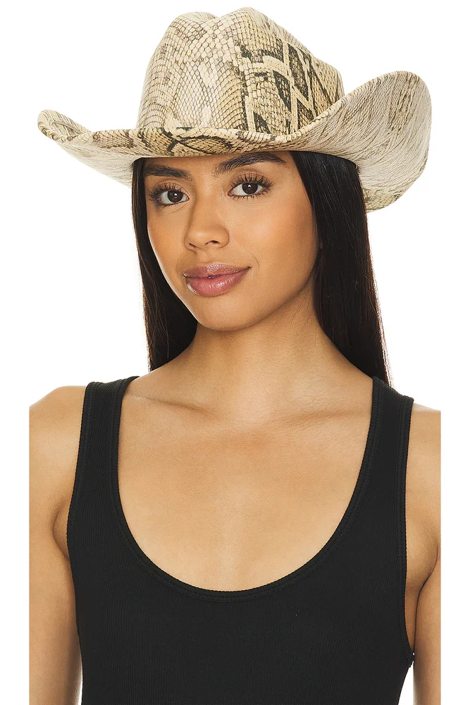 Cowboy Hat