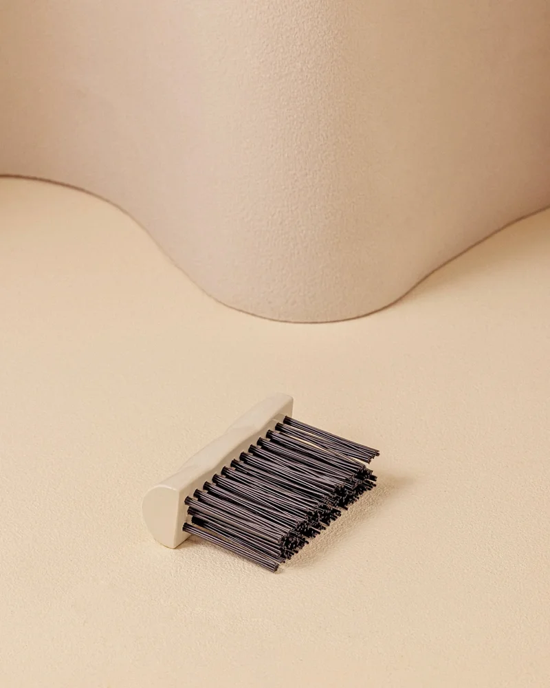 La brosse de nettoyage