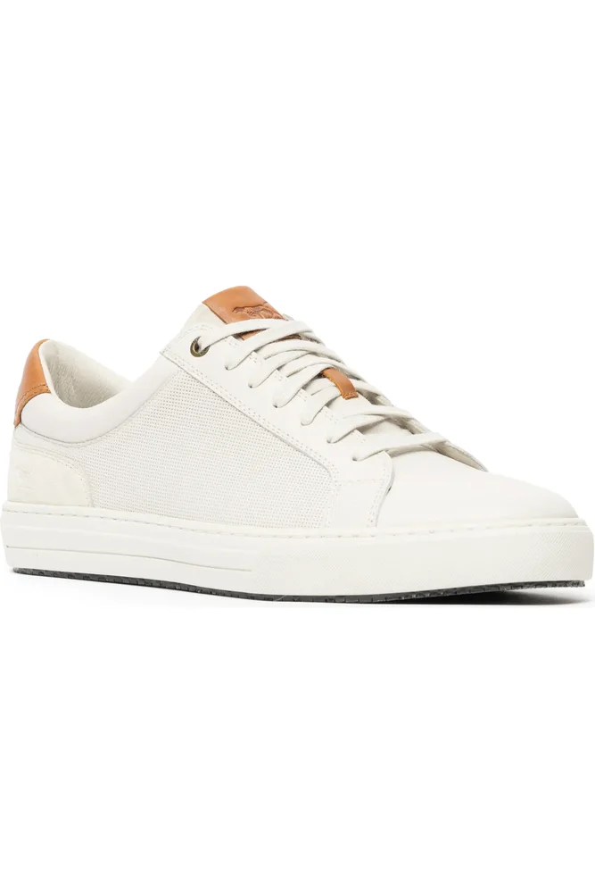 Transit Sneaker