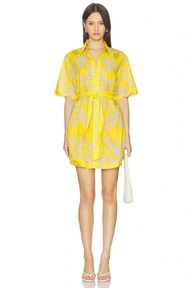 Wes Mini Dress