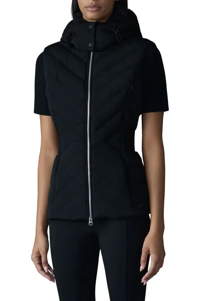 Hoshi Hooded Quilted Down Vest