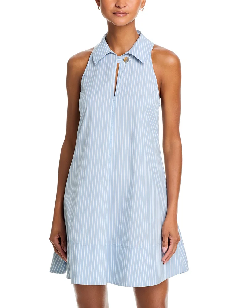 Florenz Collared Mini Dress
