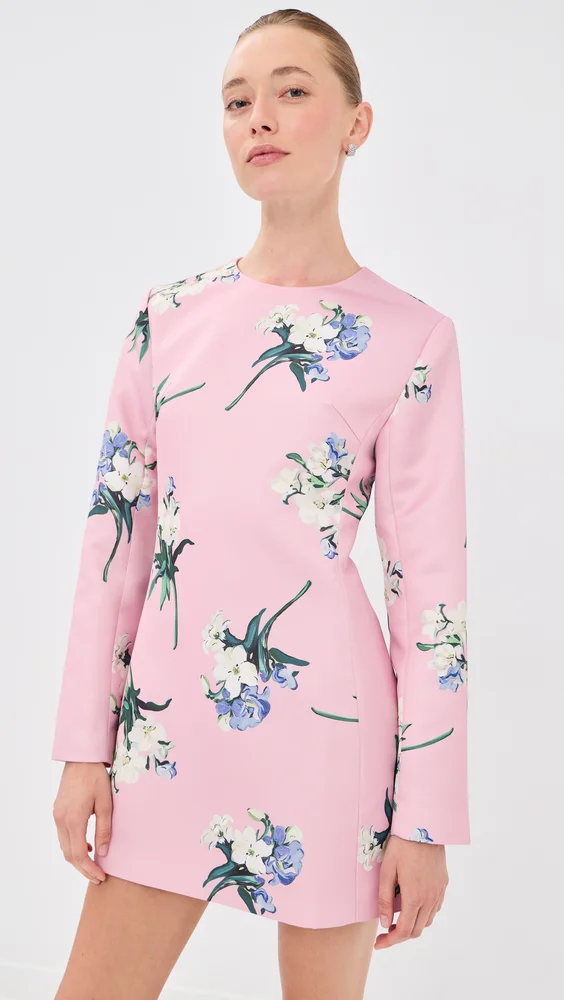 Aliza Long Sleeve Mini Dress