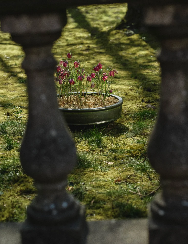 Dune Planter Bowl