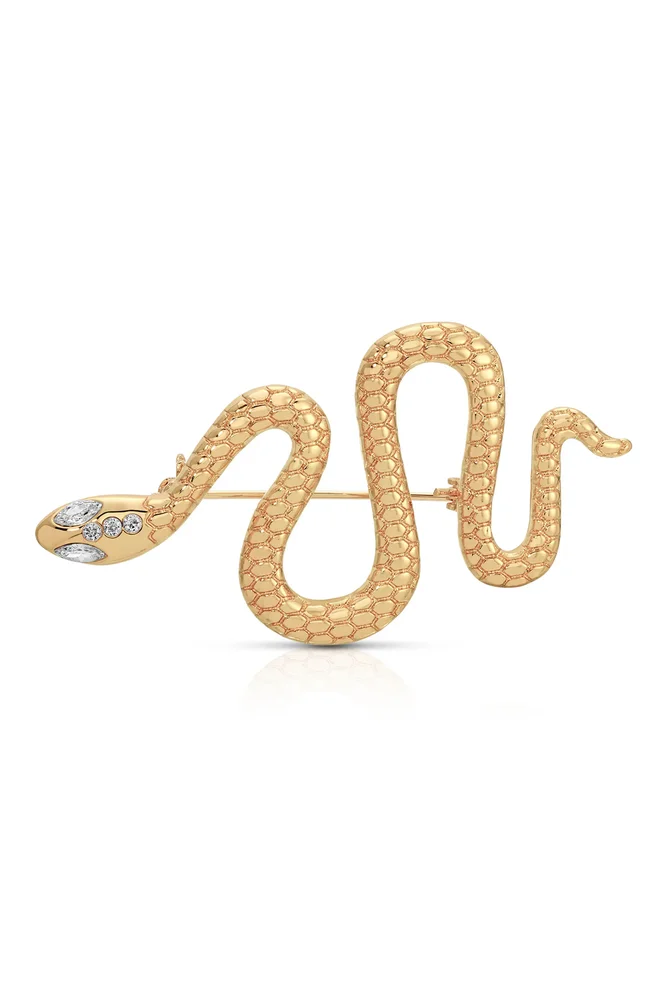 Snake Brooch